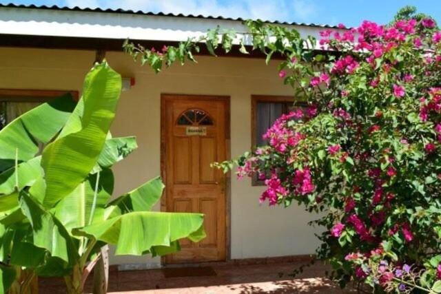 Cabanas Vaiora ハンガ・ロア エクステリア 写真