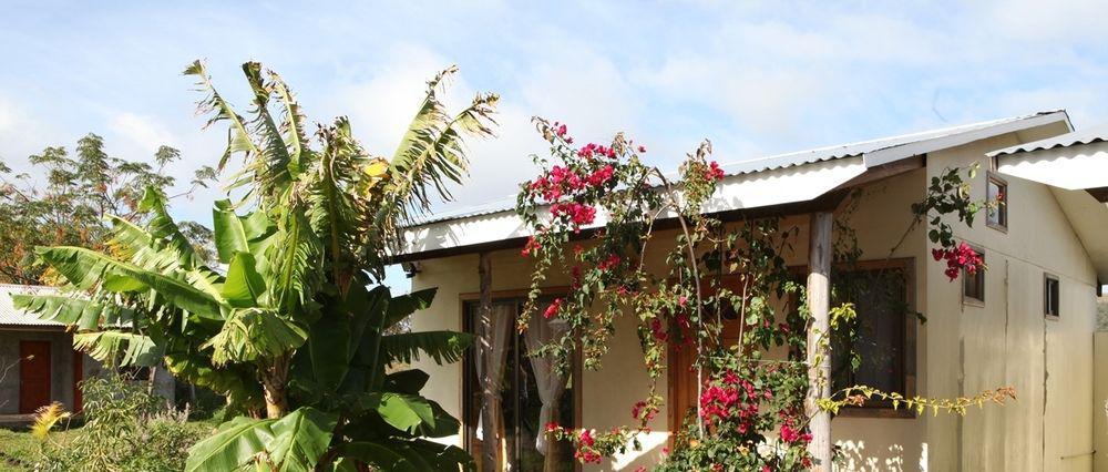 Cabanas Vaiora ハンガ・ロア エクステリア 写真
