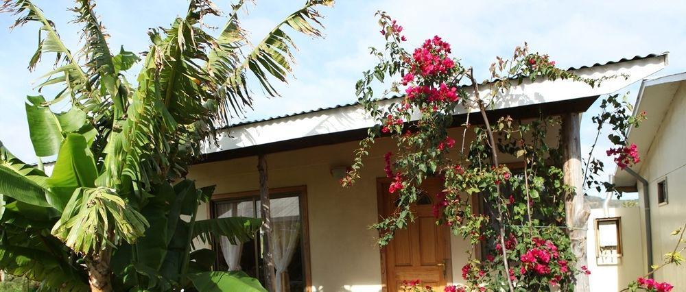 Cabanas Vaiora ハンガ・ロア エクステリア 写真
